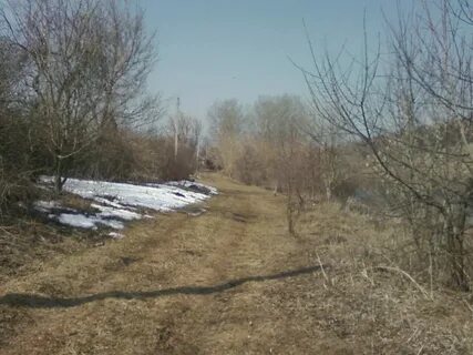 Погода рамонском районе на 3 дня