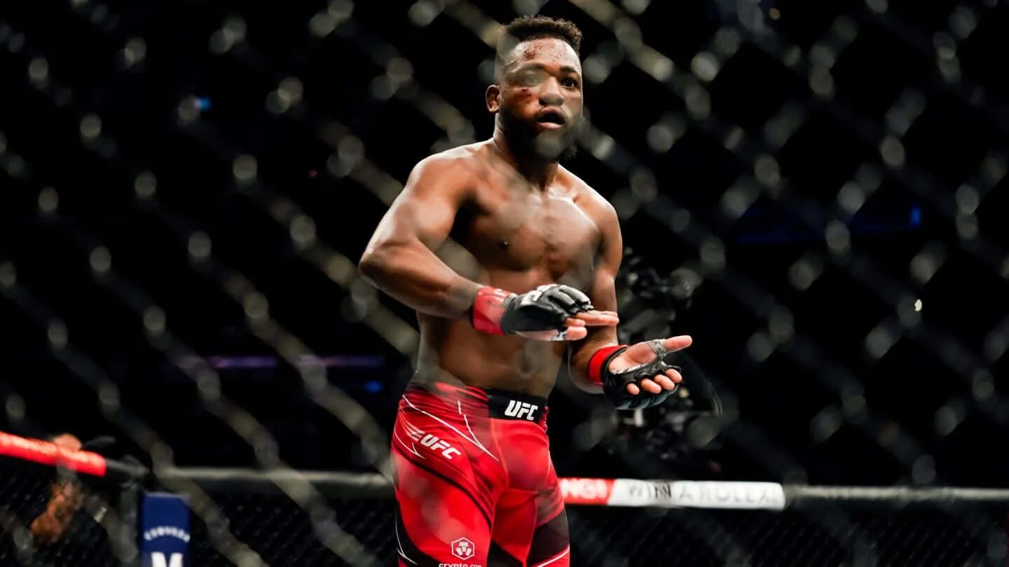 Манел кап. Пояс чемпиона rizin. Манел кап. Манелем торресо. Манел кап.