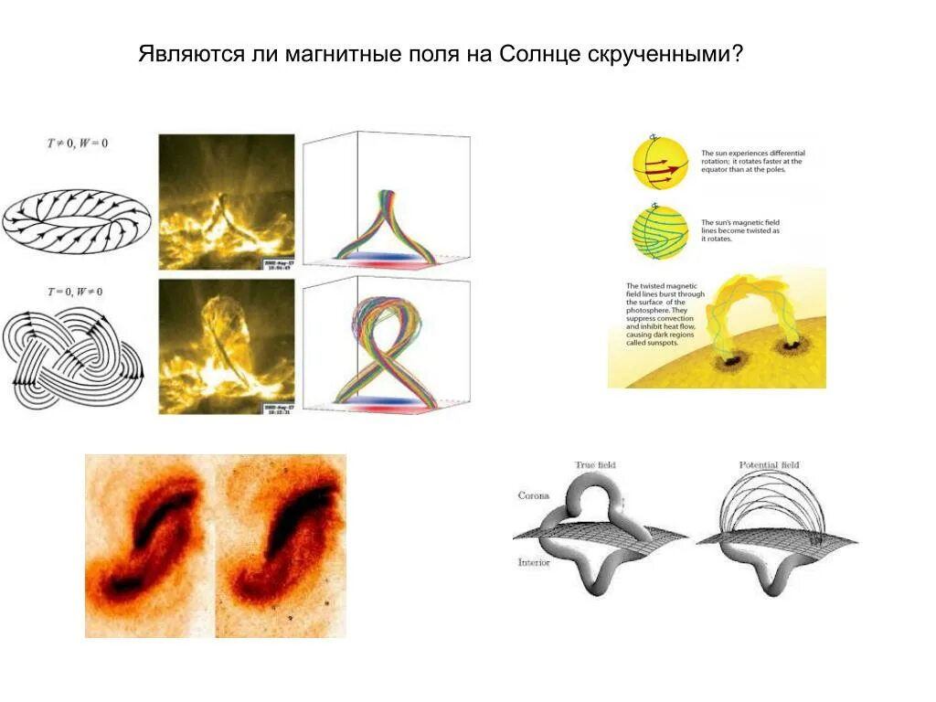 Магнитное поле солнца меняет. Магнитное поле солнца меняет