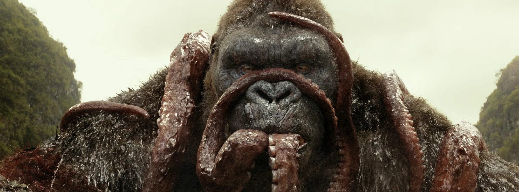 Kong scene
