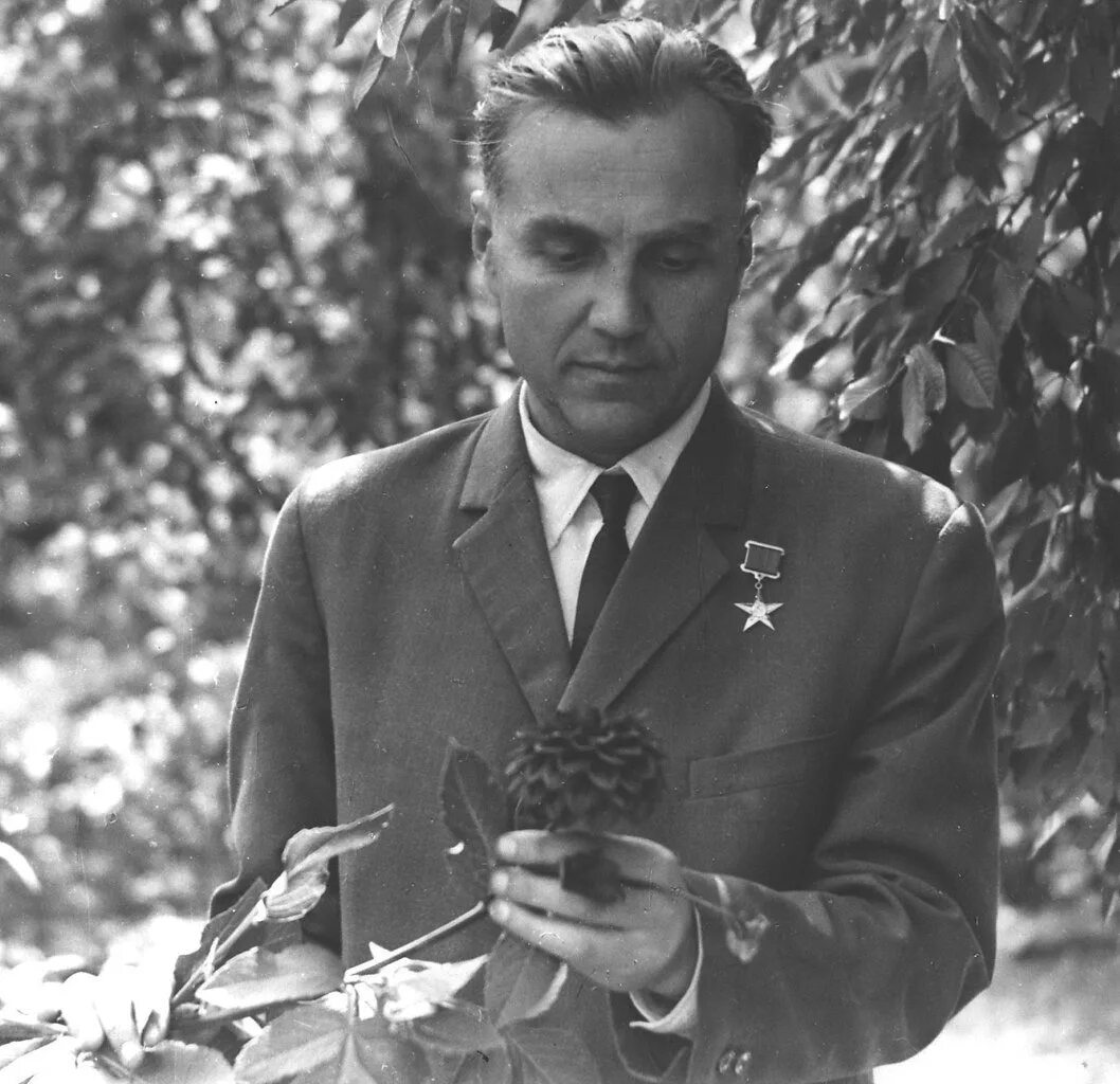 Где работал сухомлинский. Где работал сухомлинский. Где работал сухомлинский. Сухомлинский. Где работал сухомлинский.