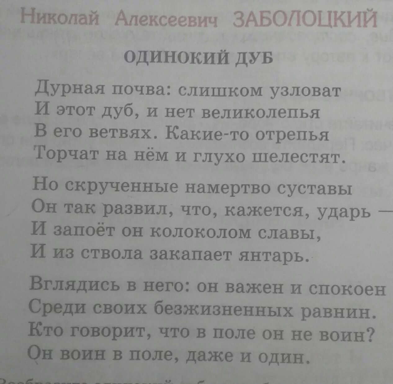 Стих на пять предложений. Стихи 5 предложений. Стихотворение из 5 предложений. Стих на 5 предлож. Стихотворение про предложения