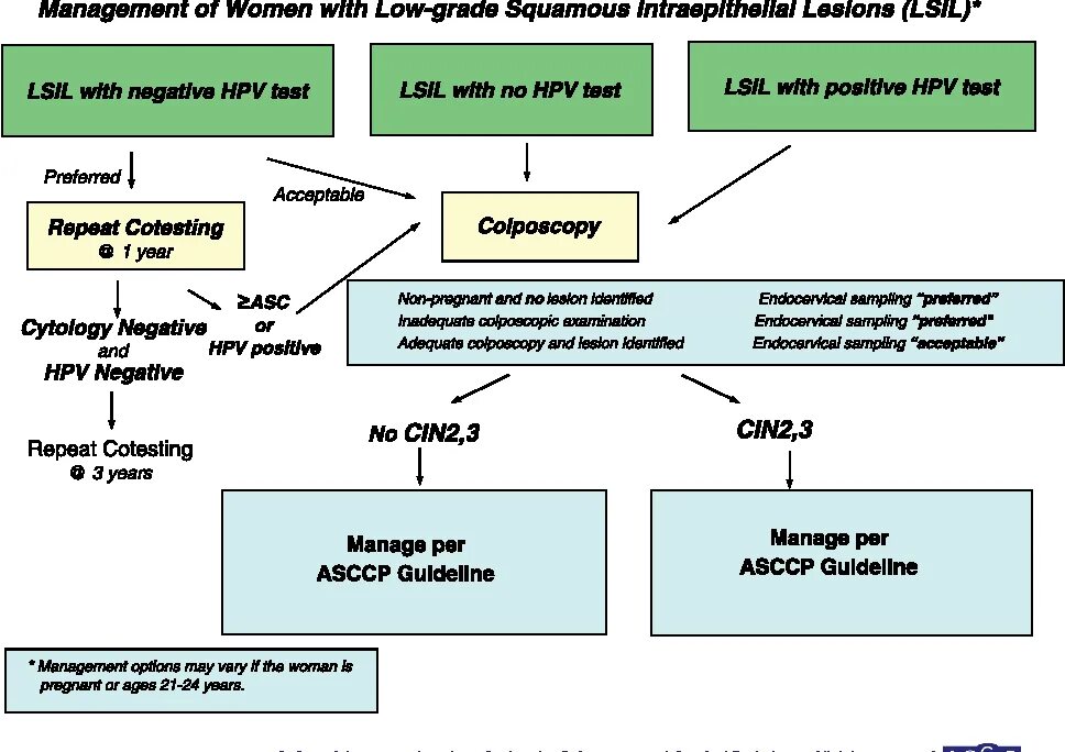 Классификация Low Grade. Low Grade в онкологии. Low-Grade squamous intraepithelial lesions. Лов граде