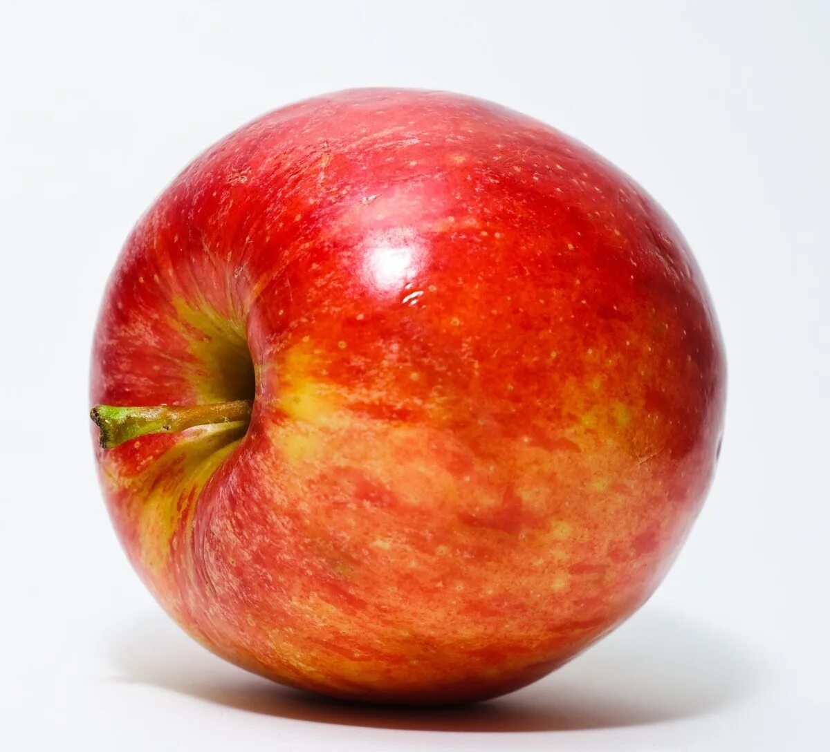 Яблоко картинка. Фрукты яблоко. Ябок. Яблоки красные. Плод яблоко.
