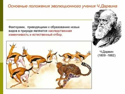 Эволюционная психология изучает