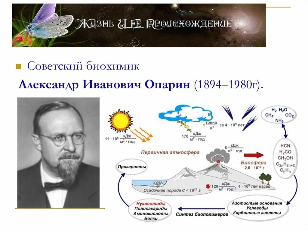 Биохимическая гипотеза опарина холдейна. Теория Опарина Холдейна. Теория биохимической эволюции Холдейн.