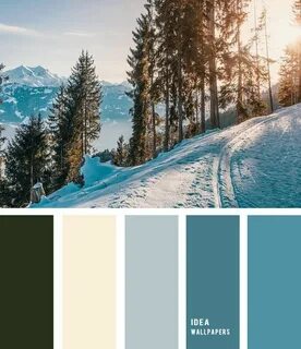 Winter colour