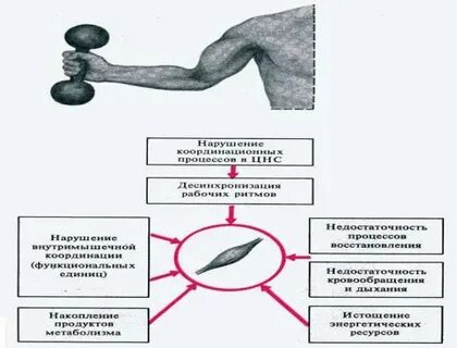 Недостаточная мышечная активность