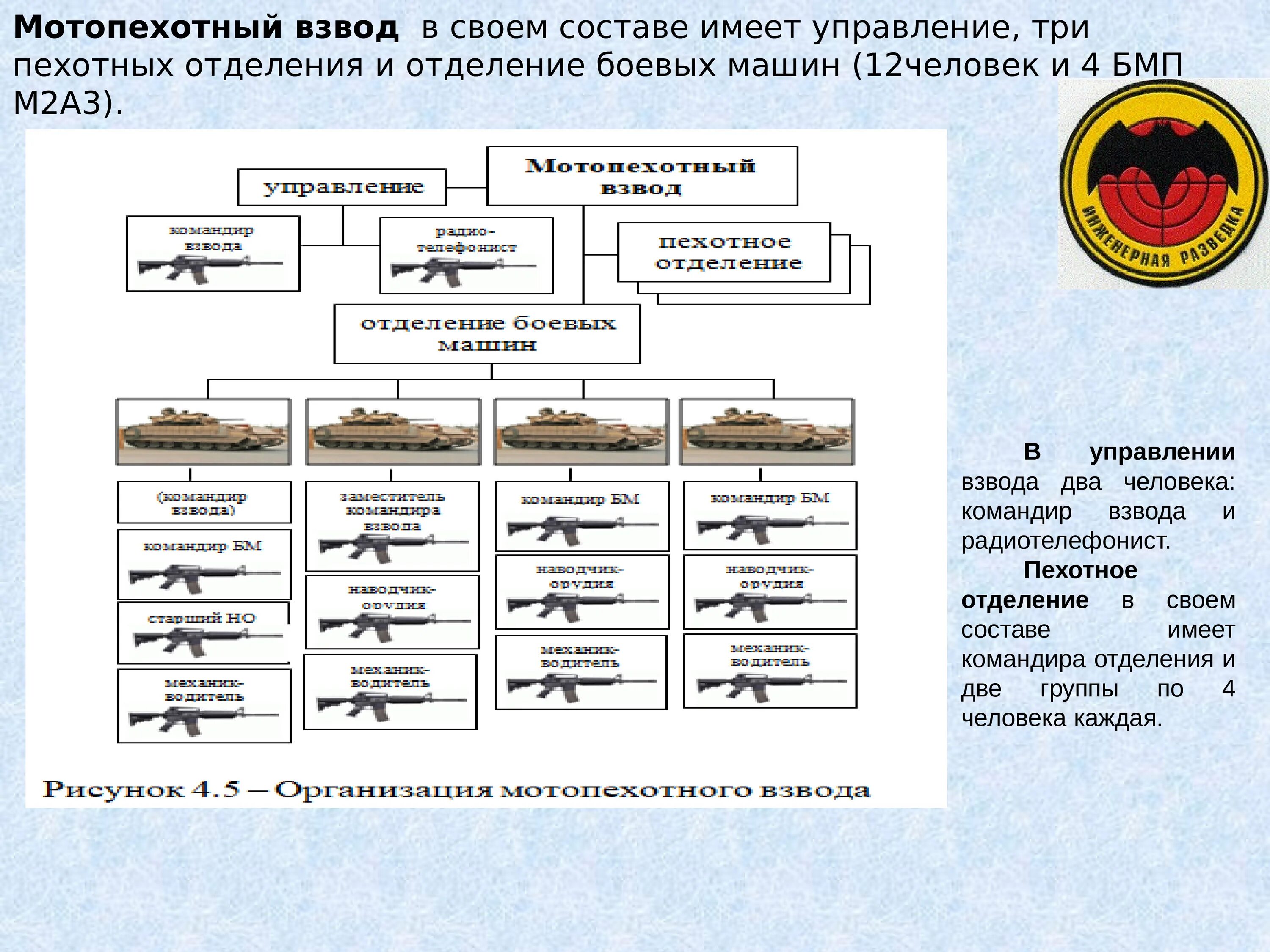 Отделение вс рф. Организационно штатная структура батальона морской пехоты России. Организационно-штатная структура мотострелкового взвода на БМП вс РФ. Штатная структура взвода на БМП. Пехотный батальон США структура.