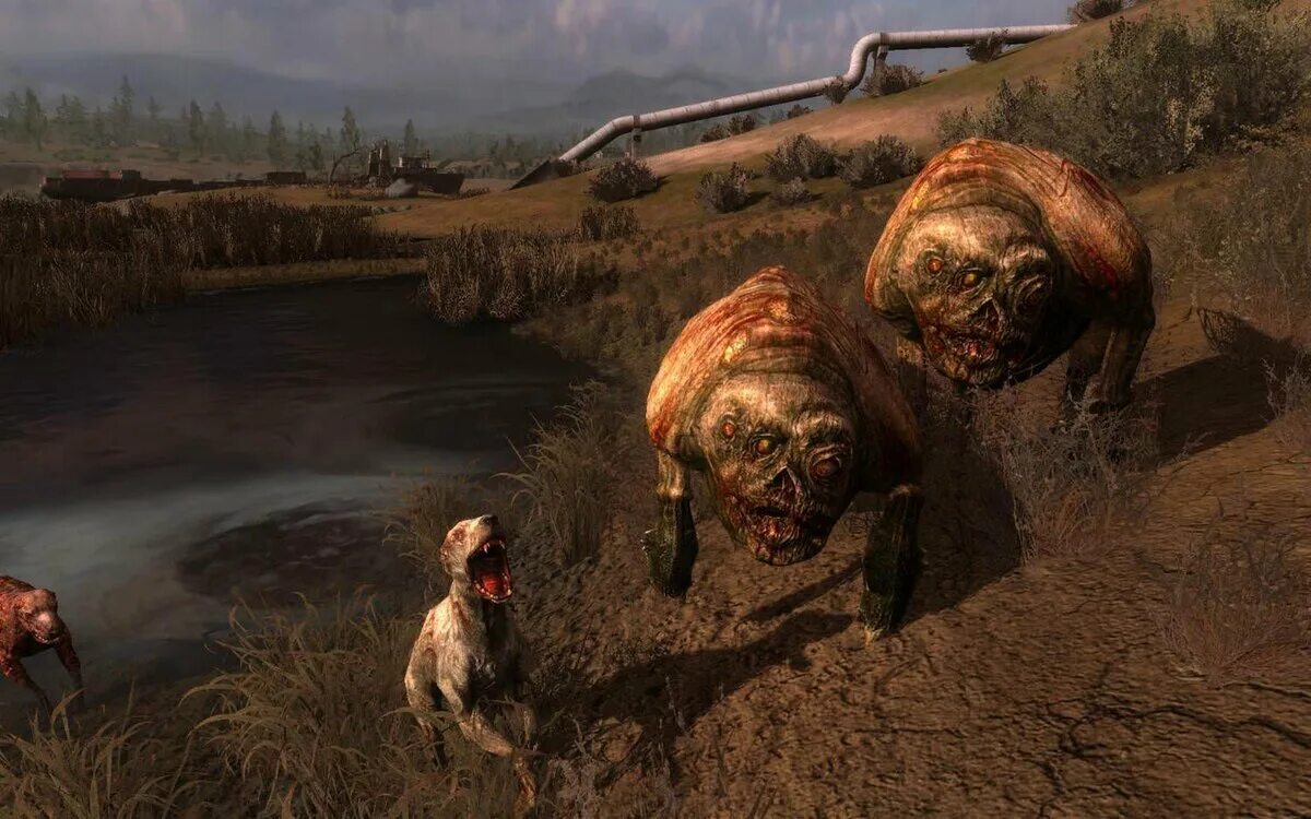 Рибейру жулиу "плоть". Плорь. Плоти частями. Плоть и сталь. Мир плоти журнал.