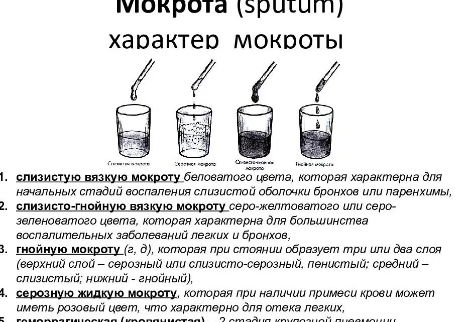 Чем лечить густую мокроту