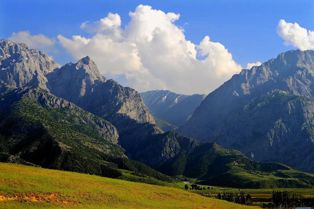 Южная киргизия. Хайдаркен Киргизии. Хайдаркан горы Киргизия. Урусайское ущелье Киргизия Баткен. Хайдаркан Киргизия фото.