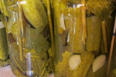 Маринованные огурцы с зернами горчицы рецепты