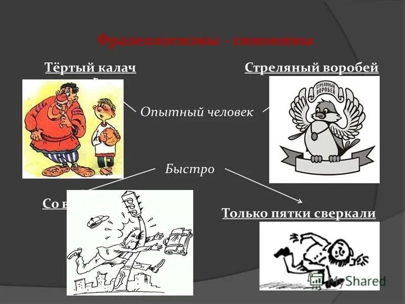 Слушать аудиокнигу тертый калач книга 3. Слушать аудиокнигу тертый калач книга 3