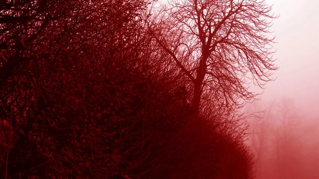 Sunshine always. Sun devoured earth sounds of desolation. sun devoured earth a static life. aegeon devouring the sun. sun devoured earth the sunshine always fades.