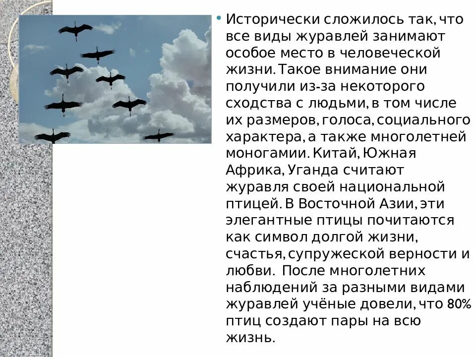 Всемирный день журавля презентация. Тема для презентации Журавли. 13 Сентября день журавля. Презентация день журавля для дошкольников. История создания песни журавли кратко