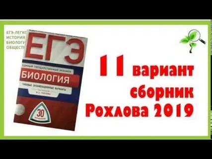 Разбор 1 варианта рохлова