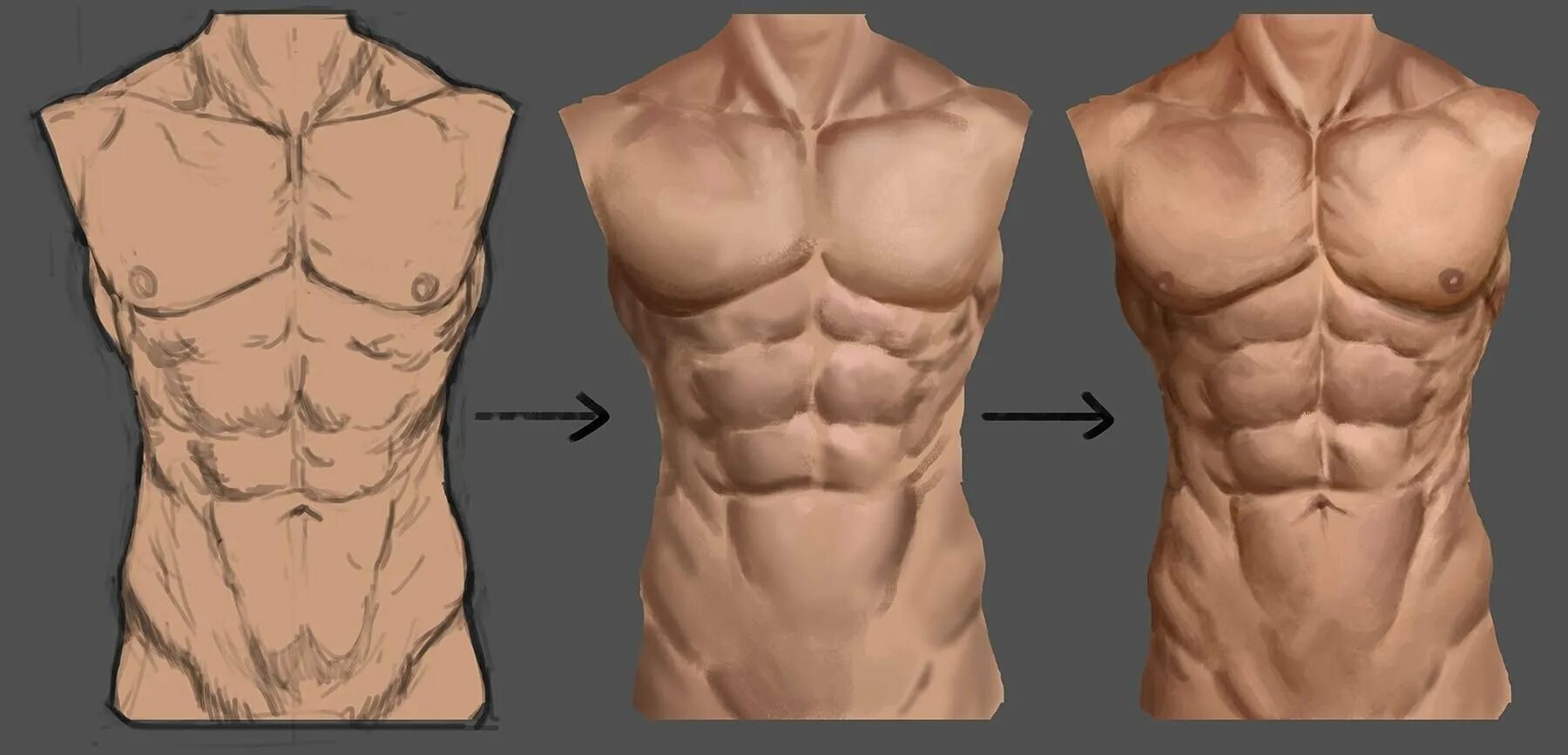 Торс референс. Торс референс. Торс анатомия речеренс. Торс мужчины референс снизу. Торс референс.