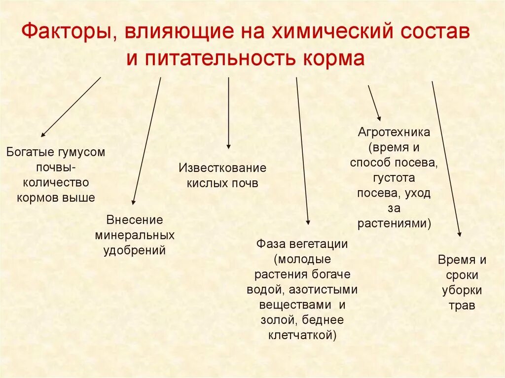 Какие основные способы подготовки кормов. Схема химического состава корма. Факторы влияющие на питательность кормов. Схема химического состава кормов животных. Схема химического состава растительных кормов.