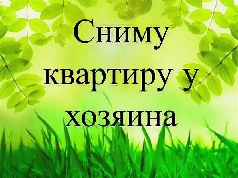 Авито объявления сниму квартиру от собственника