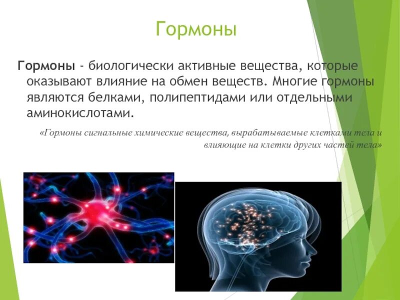 Биологичсекиактивные вещества. Гормоны биологически активные вещества. Биологически активные вещества ферменты. Биологически активные вещества гормоны ферменты. Активные вещества