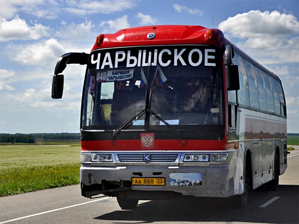 Новокузнецк горно алтайск автобус. Neoplan Kia Granbird. Новосибирск Барнаул Kia Grandbird. Барнаул автовокзал автобусы. Автобус Новосибирск Барнаул.