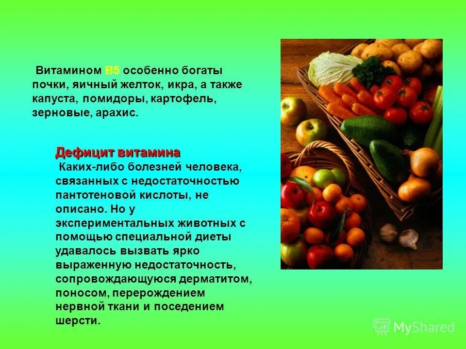 Какие овощи богаты витаминами. Какие овощи богаты витаминами