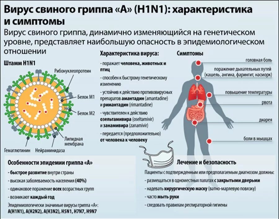 Почему во время орви. Вирус гриппа h1n1. Вирус свиного гриппа (h1n1). Особенности мвиного группа. Вирус гриппа симптомы.