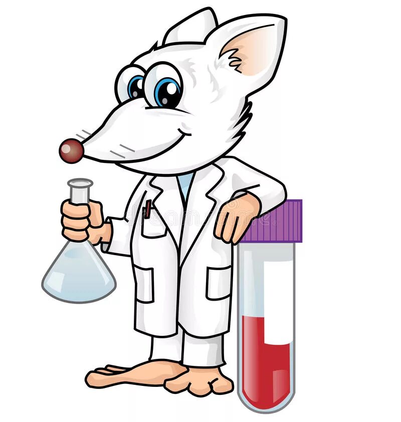 Лабораторные мыши. Лабораторная мышь на белом фоне. Крыса ученый. Мышь в пробирке.