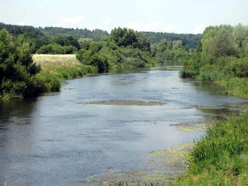 Село Нижнее Мальцево Авторство фотографий - Елизавета 2023 Типичное Сасово ВКонт