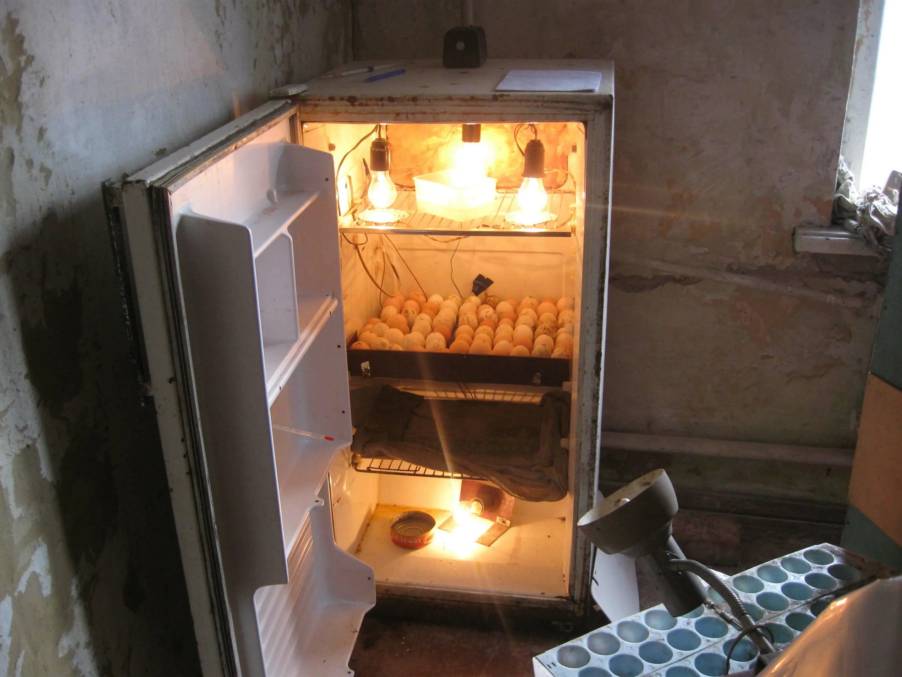 Самодельный инкубатор. Как сделать инкубатор куриные. Самодельный инкубатор. Инкубатор самоделка. Самодельный инкубатор.