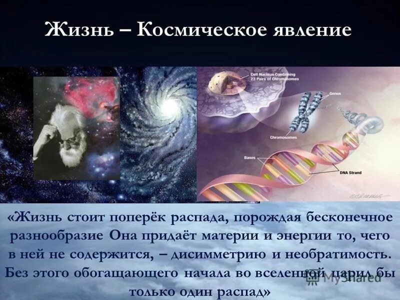 Реинкарнация картина. Радость жизни природа. Жизнь как явление. Жизнь как явление. Жизнь как явление.