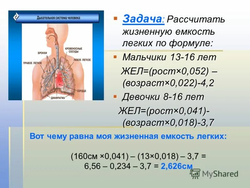 формула жел легких. расчет жизненной емкости легких формула. измерение жизненной емкости легких (жел). расчет жизненной емкости легких формула. измерение жизненной емкости легких.
