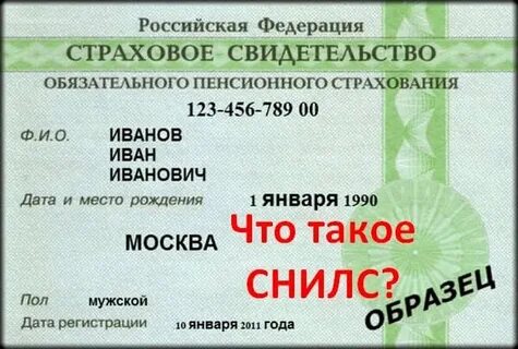 Где хранится снилс