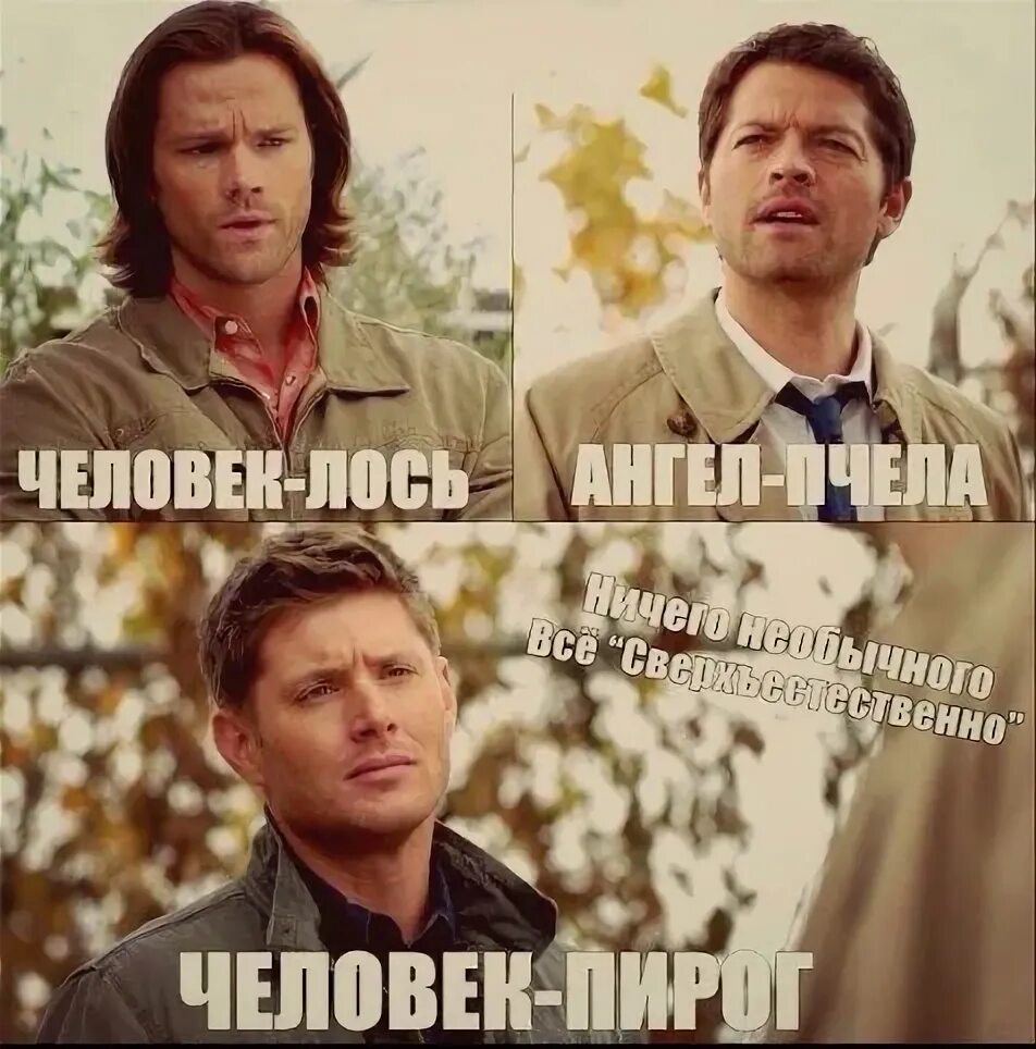 Почему сем