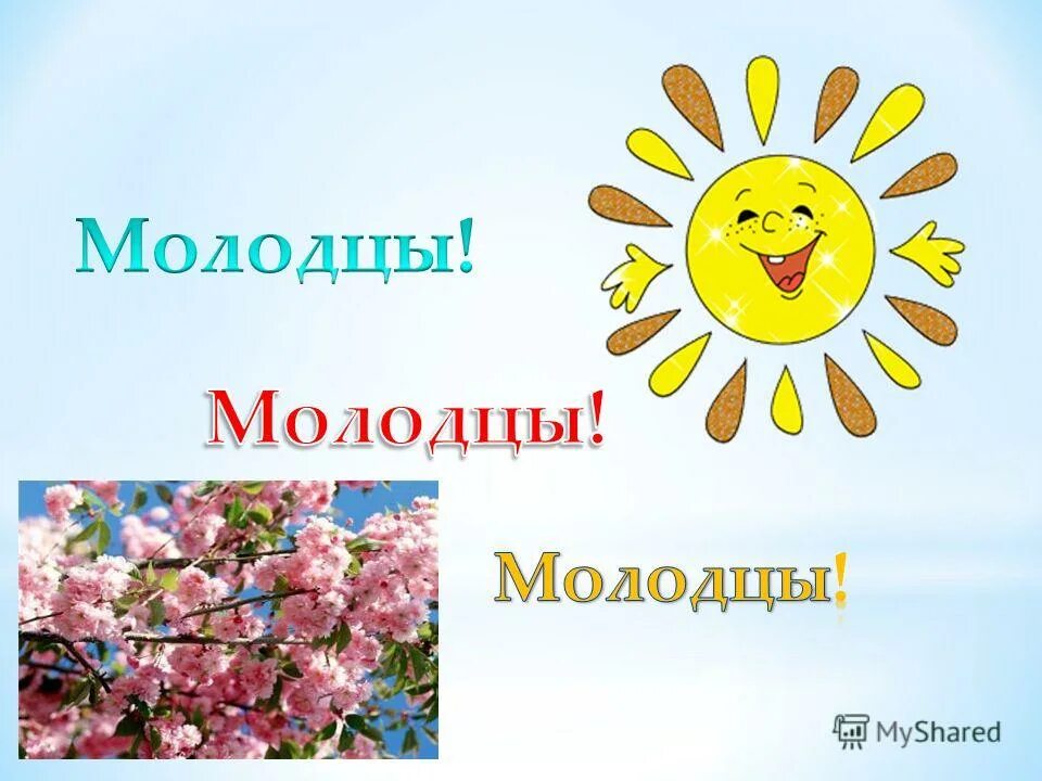 ты молодец картинки. цветень молодец. молодцы картинки. цветень молодец. молодцы для презентации.