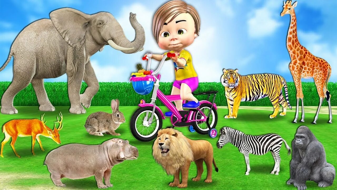 Kids box wild animals