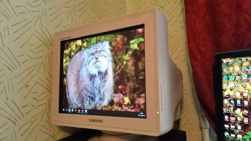 Ламповый монитор. Samsung 795df. элт монитор samsung syncmaster 795df. samsung syncmaster 795df 17&quot;. samsung syncmaster 795df.