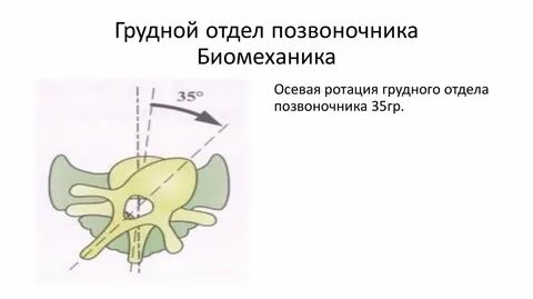 Ротация позвоночника