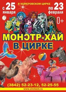 Расписание цирка на воде