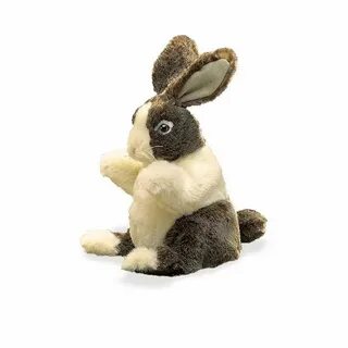 Real bunny