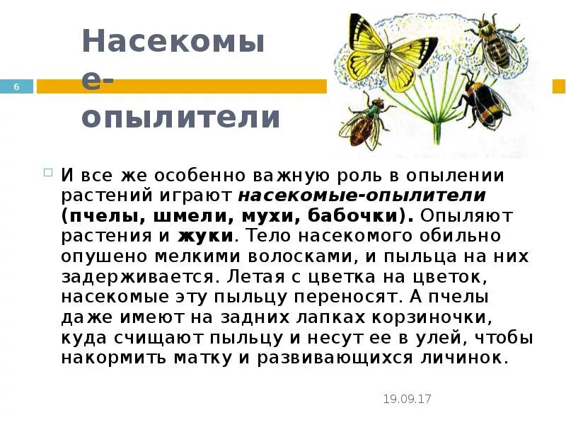 Опыление растений насекомыми для детей. Какие насекомые опыляют растения. Насекомые опылители растений презентация. Какие насекомые опыляют цветы для дошкольников. Пчела и бабочка текст