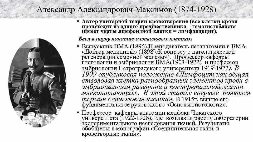 Александру Александровичу Максимову (1874–1928. А А Максимов гистолог. Александру александровичу максимову