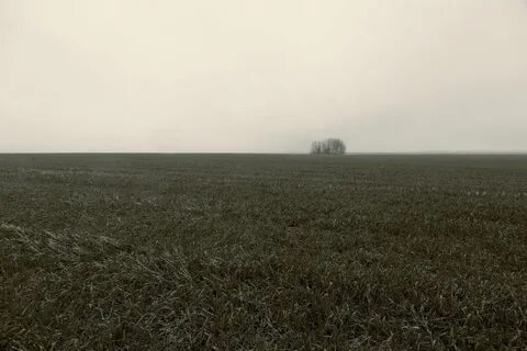 Увянувшее поле 4