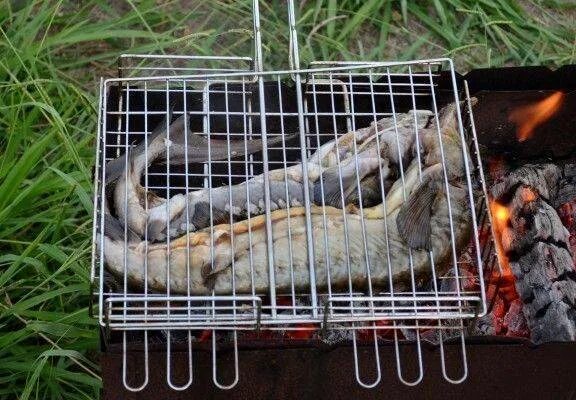 Дорадо на костре на решетке. Осетрина шашлык. Осетр на костре. Осетр на мангале. Рыбный шашлык.