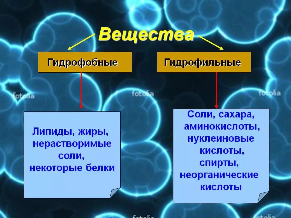 От чего зависит гидрофильность веществ. Гирофилные и идрфобоные веества. Гидрофильные и гидрофобные. Гидрофобные вещества. Гидрофильные гидрофобные и гидрофильные вещества.