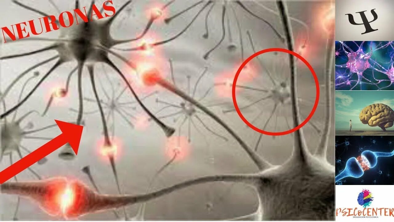 Разрушенная нервная система. Нейронные клетки головного мозга. Нервная система человека Нейрон. Нейрон клетка головного мозга. Нейронная сеть нервной системы.