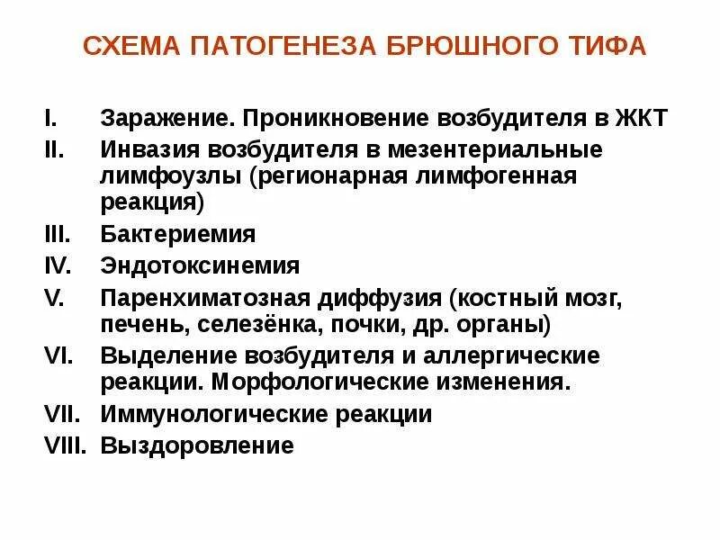 Брюшной тиф презентация. Брюшной тиф этиология эпидемиология. Пути и факторы передачи брюшного тифа. Механизм заражения брюшным тифом. Контактный механизм передачи.