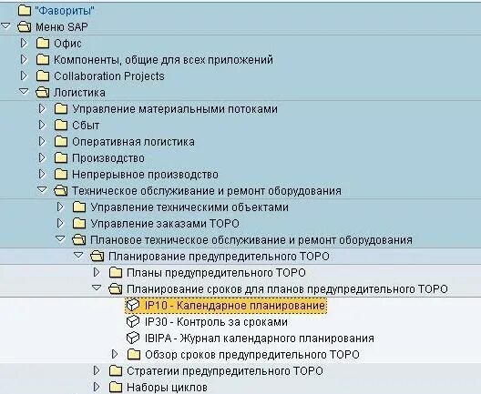 Заказы торо sap. Sap toro. sap topo. стратегии предупредительного торо. sap торо транзакции.