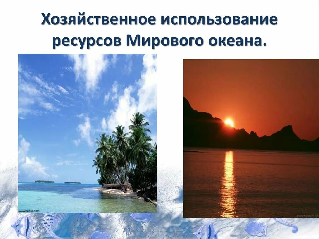 Хозяйственное использование биологических ресурсов. Основной вид биологических ресурсов мирового океана. земельные ресурсы мирового океана. ресурсы мирового океана австралии. лидеры по ресурсам мирового океана.